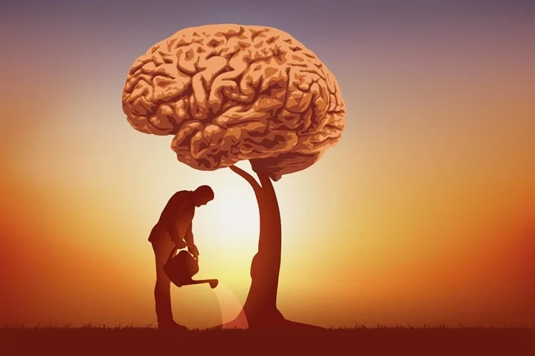 دانائی نظم ماجامائلوجکو وچ سربیا ۱